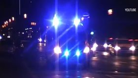 VIDEO Melcul fără cochilie care a tulburat liniștea unui bloc din sudul Germaniei. Oamenii au chemat poliția în toiul nopții